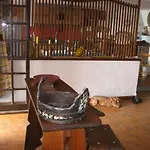 Marinedda
